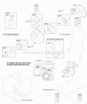 Water Pump Parts Diagram and Parts List for AC0101-0001-01  Briggs and Stratton Engine